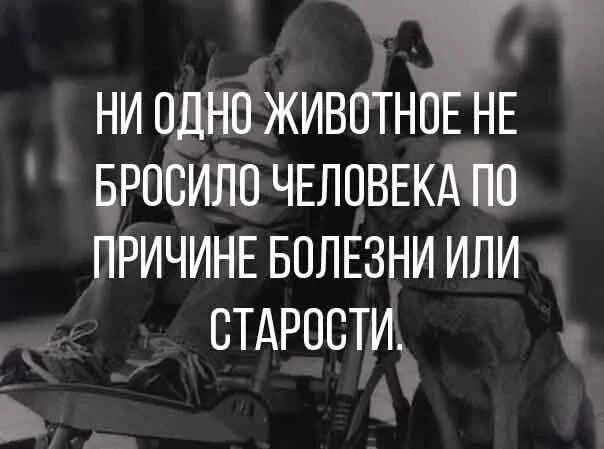 Не бросайте человека никогда. Ни одно животное не бросило человека. Человек бросает животное. Даже животные не бросают своих детей. Ни одно животное не бросило человека по причине болезни или старости.