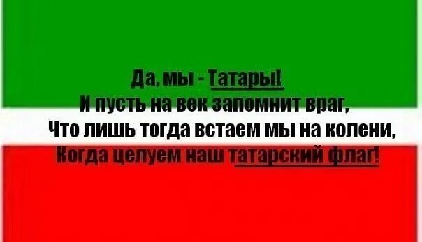 Высказывания татар. Высказывания про татар смешные. Татарские анекдоты. Татарские шутки и приколы. Смешные цитаты про Татаров.