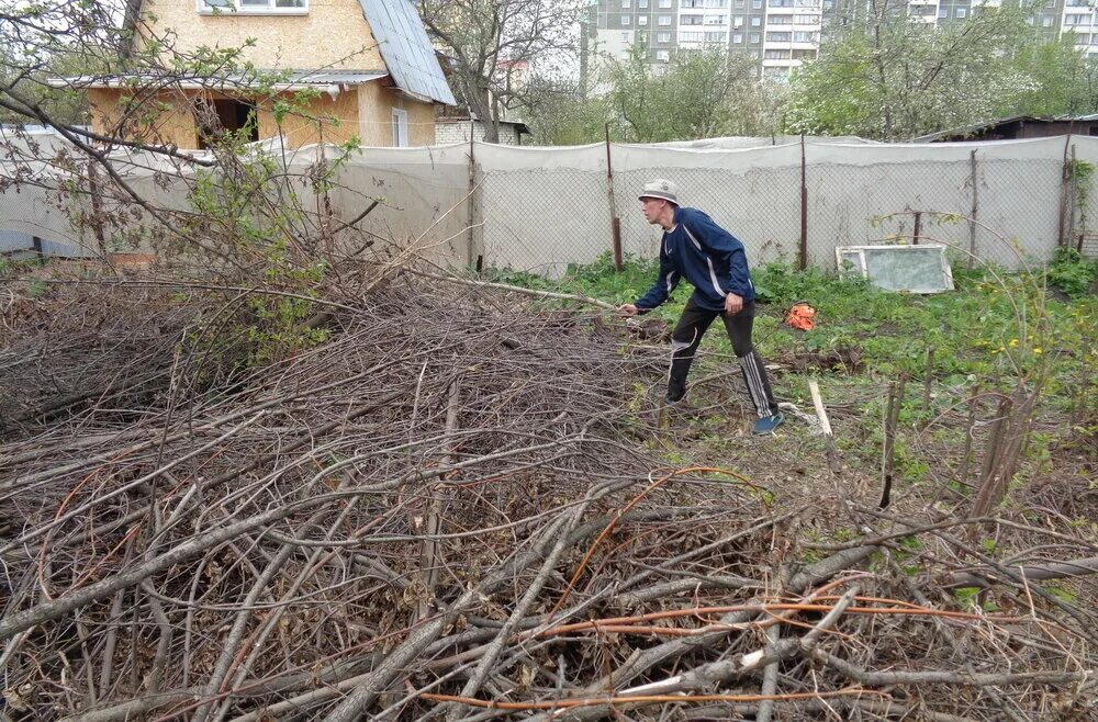 Вывоз веток с участка цена. Расчистка участка. Уборка участка. Уборка и расчистка участка. Спиленные деревья на участке.