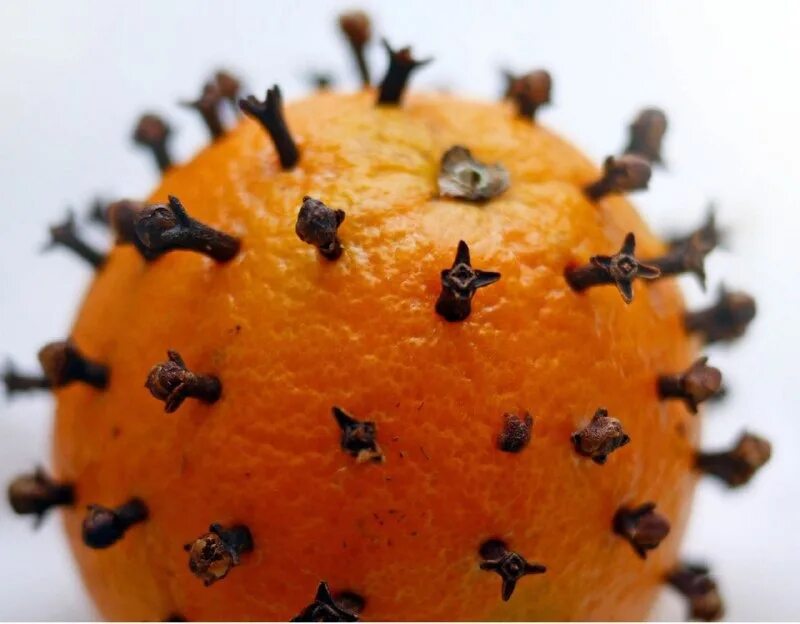 Апельсины ритуал. Апельсин утыканный гвоздикой. Мандарины с гвоздикой. Апельсины с гвоздикой украшение. Ежик из апельсина и гвоздики.