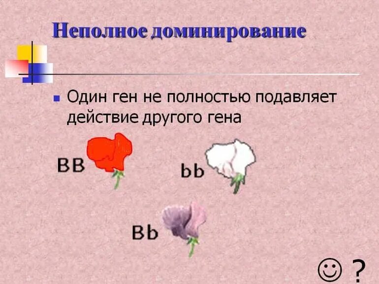 Показать ответ полное доминирование. Неполное доминирование. неполное доминирование это в биологии. неполное доминирование генов. пример неполного доминирования генов.