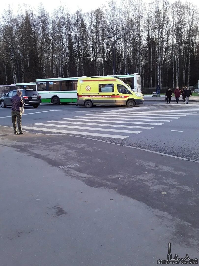 Авария в Павловске СПБ сегодня. Автобусы Павловска СПБ. Автобус сбил девушку на пешеходном переходе Нижний Новгород.