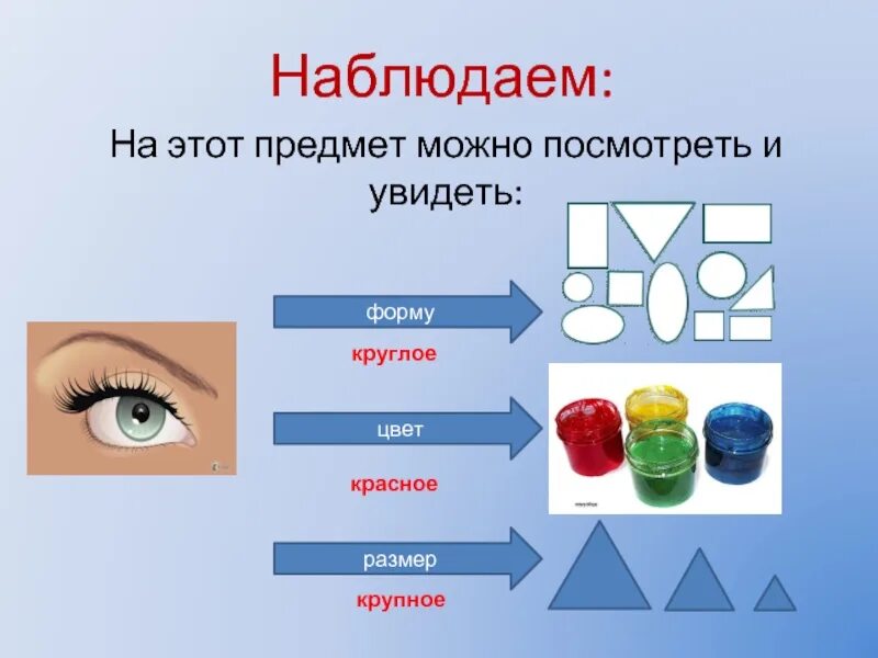 Внешняя форма предмета. Наглядно показать как устроен некоторый объект можно с помощью. Мы это предмет. Область предмет. Какие объекты можно увидеть