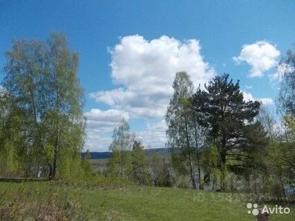 Погода в павловщине