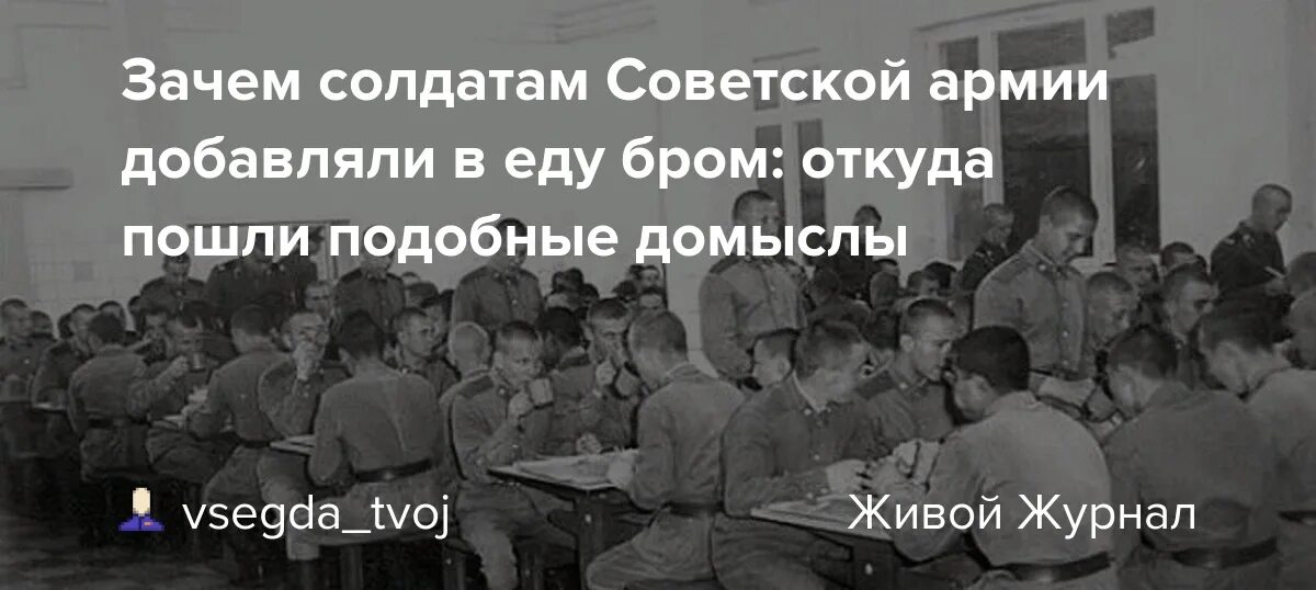 Дисциплина в Советской армии. Почему солдату. Бром почему давали солдатам. Для чего в армии добавляют бром. Почему солдаты не хотят