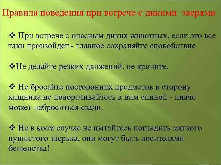 Обж встреча с дикими животными 8 класс. Лесные опасности окружающий мир второй класс. поведение при в стречис дикими животными. проект по окружающему миру лесные опасности. правила поведения при встрече с диким животным.