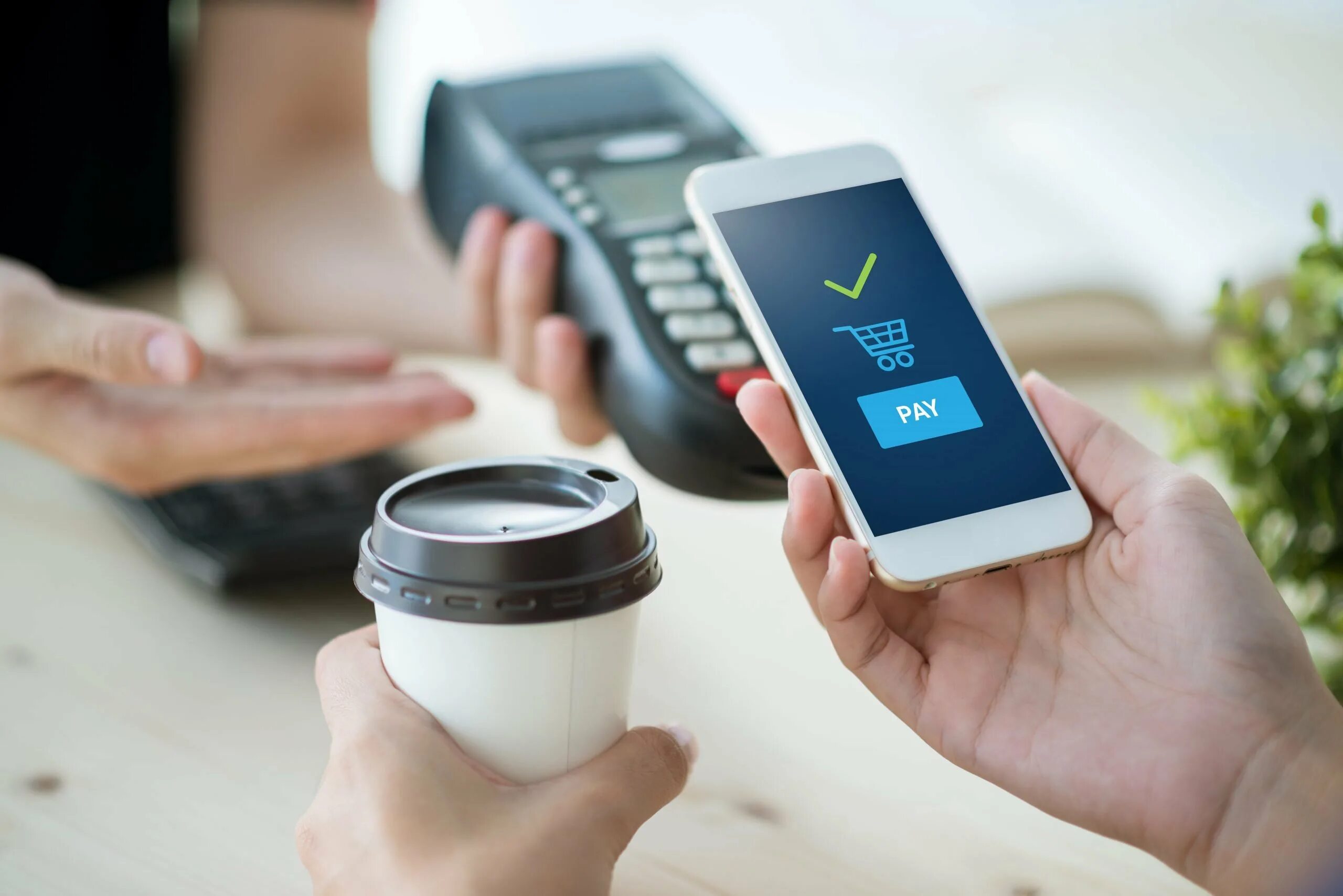 Мобильное приложение pay