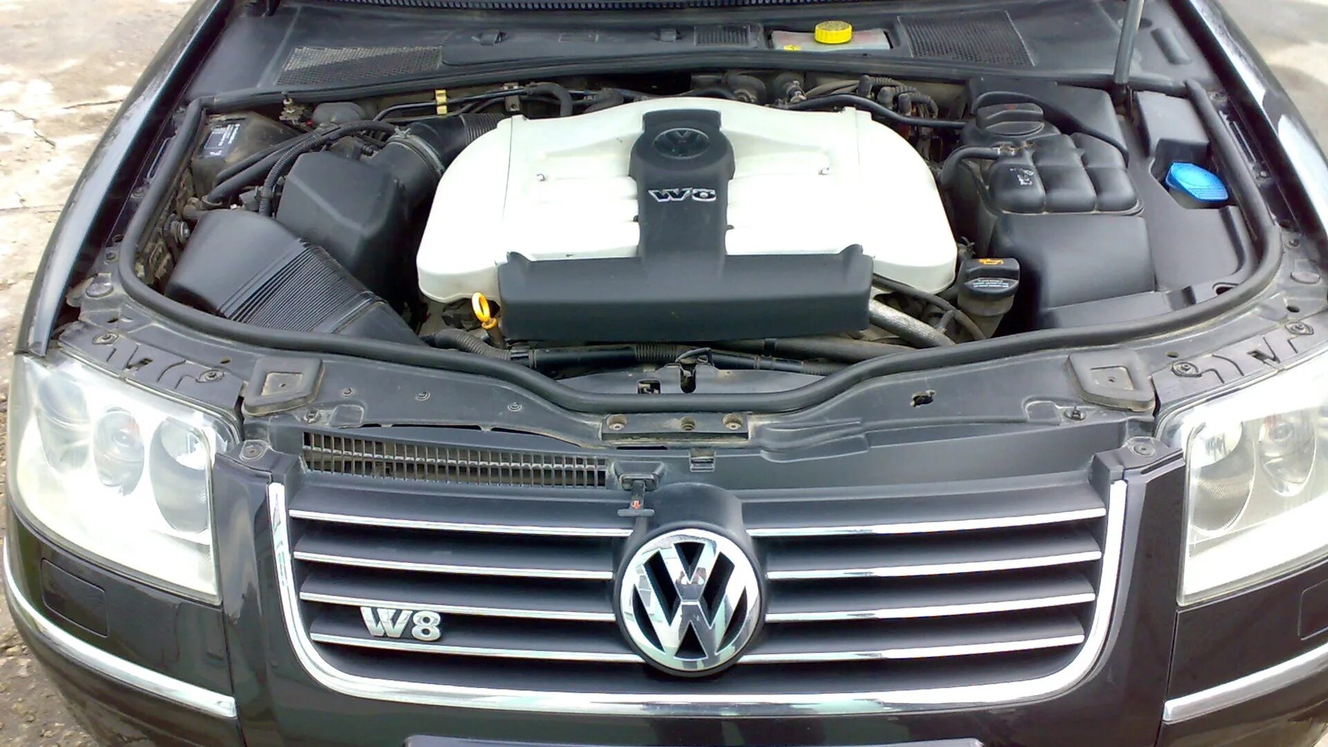 B 5 v5. Passat b5 w8. Passat b5 4.0 w8. Мотор w8 Passat b5. Volkswagen Passat двигатель w8.