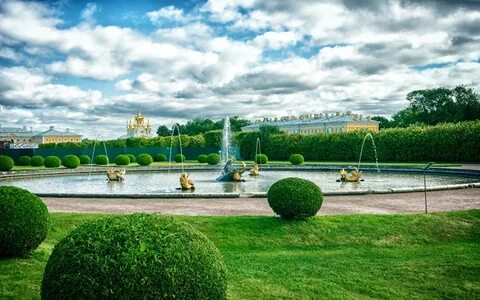 Зелень спб