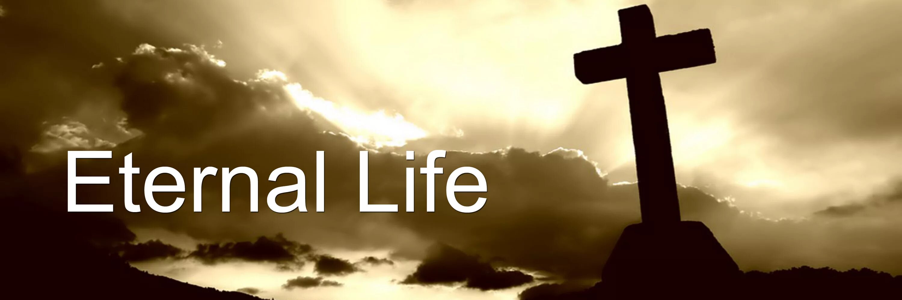 Eternal Life. Life for God. Eternal Life photo. Eternal Life логотип. Life is life год