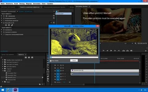 Как стабилизировать видео adobe premiere