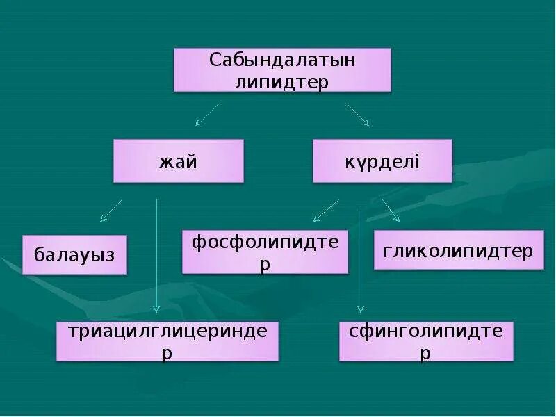 Липидтер. Липидтер презентация.