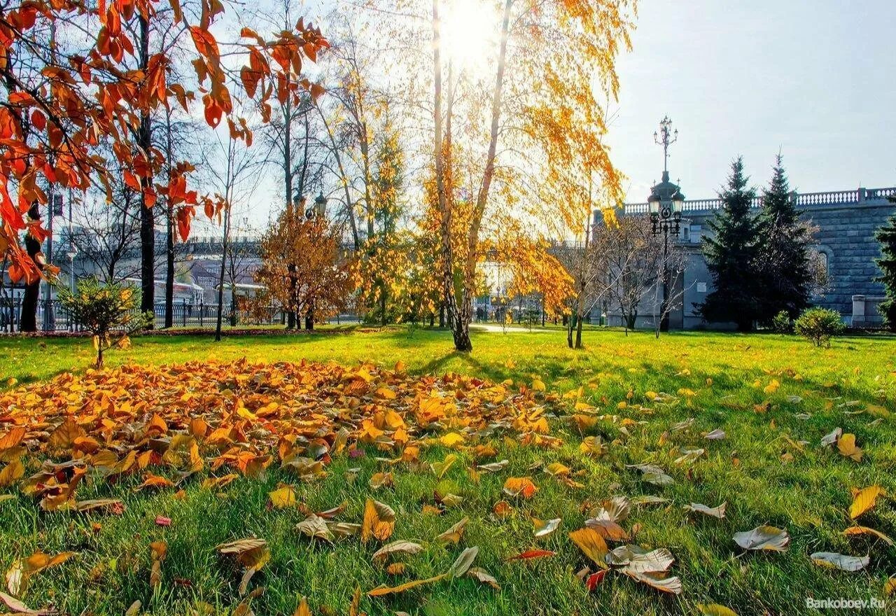 Октябрь. Солнечная осень в городе. Золотая осень в городе. Осень городская. Солнечный осенний день в городе.