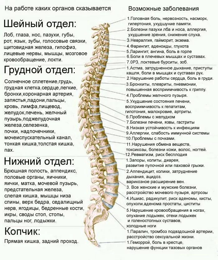 В каком отделе можно