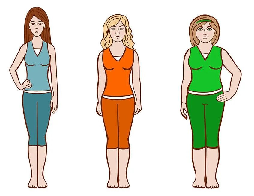Фигура человека название. Тип телосложения астенический эктоморф. Тип фигуры и телосложения.. Астенический Тип телосложения у женщин. Три типа телосложения женщин.