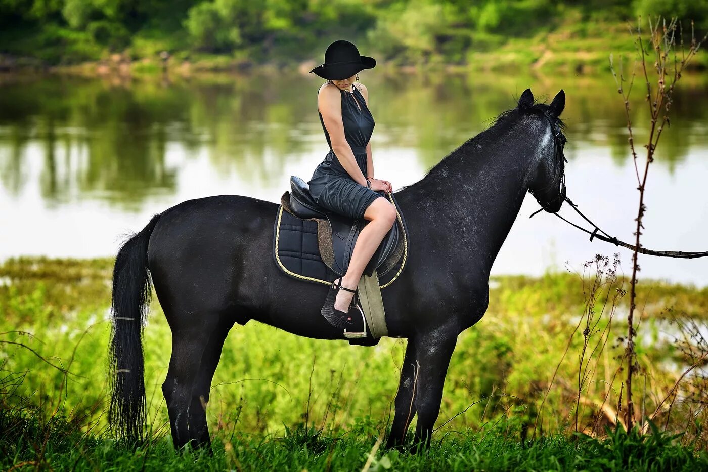 Women riding men. Всадница Пенелопа Круз. Девушка с лошадью. Девушка на коне. Дама на лошади.