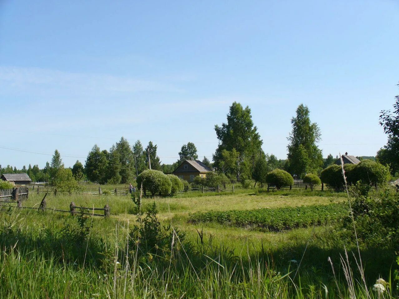 Комарово архангельская область красноборский район. Деревня комарово новгородская область. Деревня заречье новгородская область любытинский район. Станция тальцы новгородская область любытинский район. Зарубино любытинский район новгородская область.