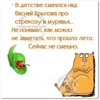 Цитаты из последнего лета