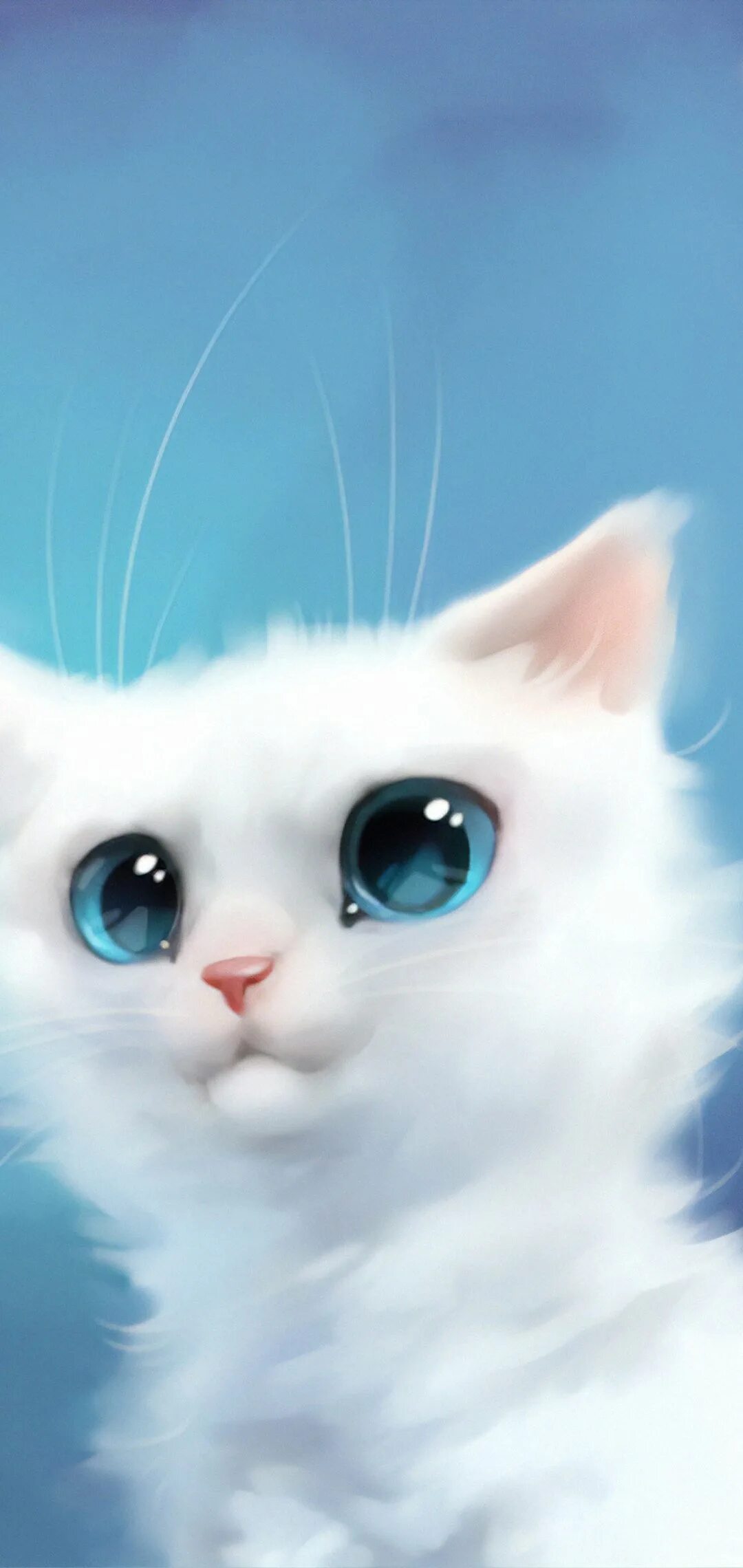 Обои на телефон красивых котиков. Милые котики. Кошка с голубыми глазами. Аватарки с котиками. Котик на синем фоне.