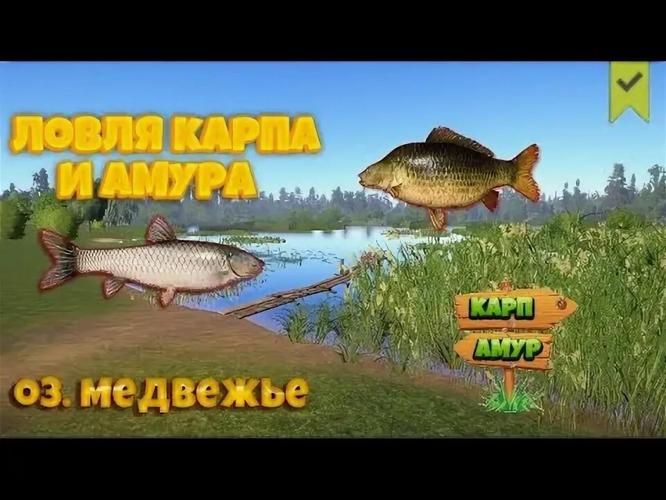 Амур черный рр4. Карп на медвежке в рр4. Рр4 медвежье карп. Оз медвежье рр4 точки. Рр4 медвежье карп.