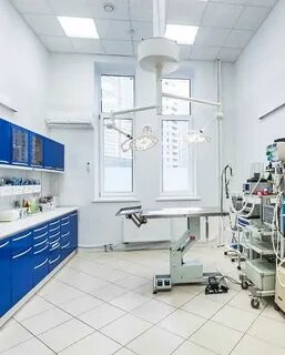 Ветклиники пресня