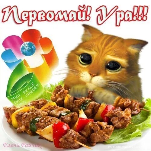 Открытка мир труд шашлык