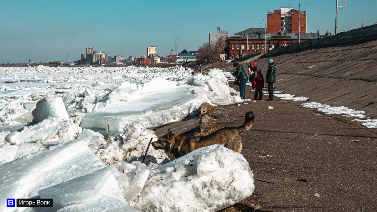 Ледоход в нижнем новгороде 2024. Ледоход на Томи 2022 в Томске. Томск река Томь ледоход. Река Томь ледоход 2022 Новокузнецк. Голова ледохода на Томи.