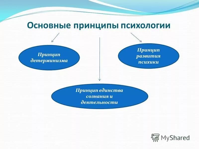 основные принципы психического развития. 1 из принципов системного подхода в возрастной психологии. схема закономерности психического развития. общие принципы психического развития. принципы психического развития ребенка.