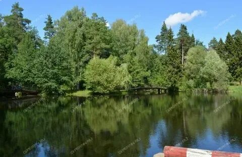Агродом нижний новгород