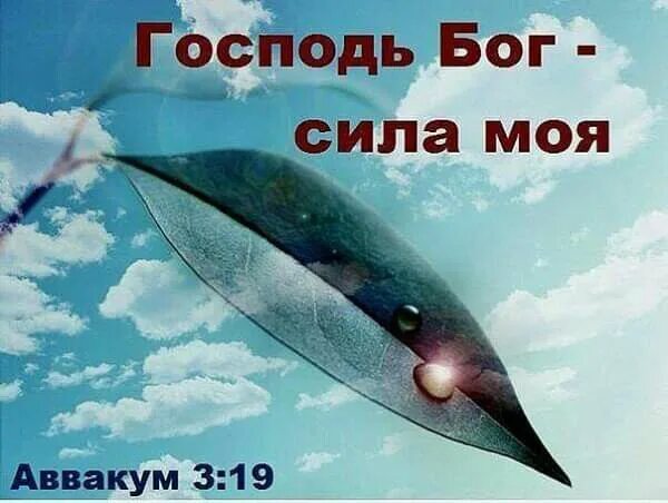 Господь бог сила моя. Господь сила моя. В чем моя сила песня. В чем моя сила песня. В чем моя сила песня.