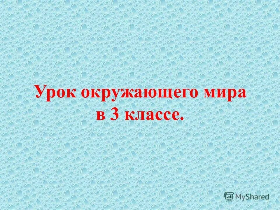 Тема урока по окружающему миру. Урок по окружающему миру 3 класс как рождались имена. Тест вещество 3 класс