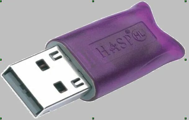 Hasp ключ firesec. USB Hasp hl Pro. Флешка Hasp hl. Юсб ключ 1с. Серверный ключ 1с USB.