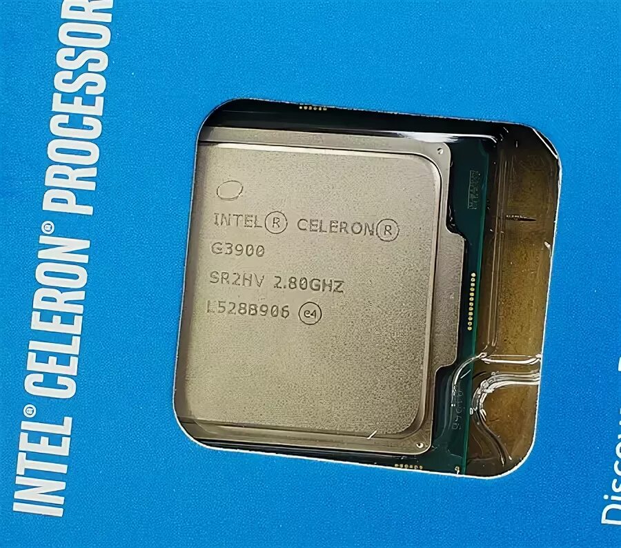 Celeron g4930. Процессор Intel Celeron g5905. Процессор Intel Celeron g5905 OEM. Интел селерон g3900.