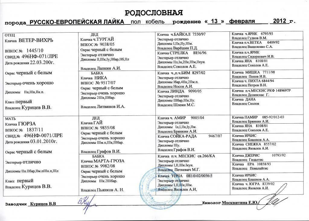 Клички собак лаек. Имена для лайки кобеля. кличка для собак мальчиков порода русско-европейская лайка. клички для собак девочек лайки охотничьи. клички для собак мальчиков лайки охотничьи.