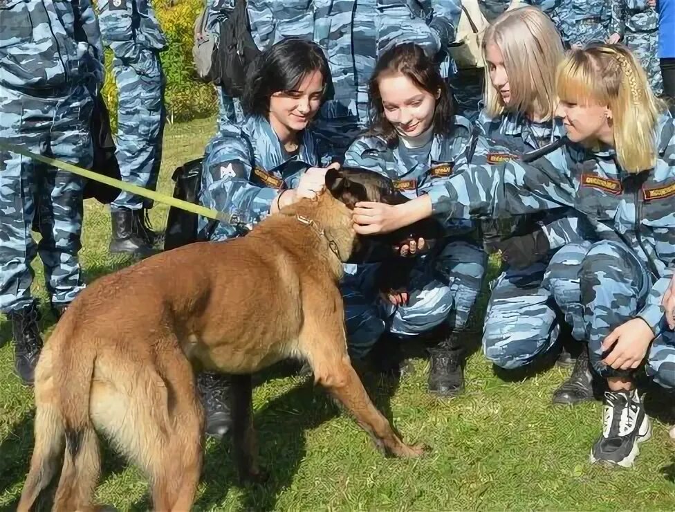 Кинологический колледж после 9 класса. Кинологический колледж Протвино. Щёлковский колледж кинология. Колледж столица кинология теплый стан.