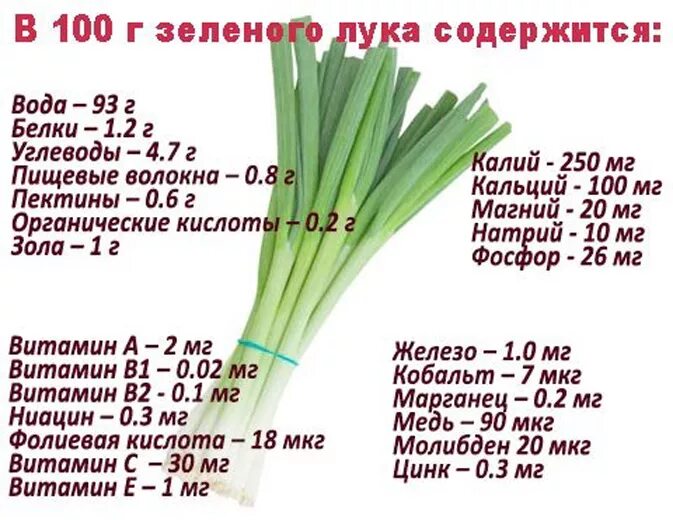 Какого больше витамина содержится в луке. Витамины в зеленом луке. полезные вещества в луке. зеленый лук витамины содержит. какие витамины в зеленом луке.