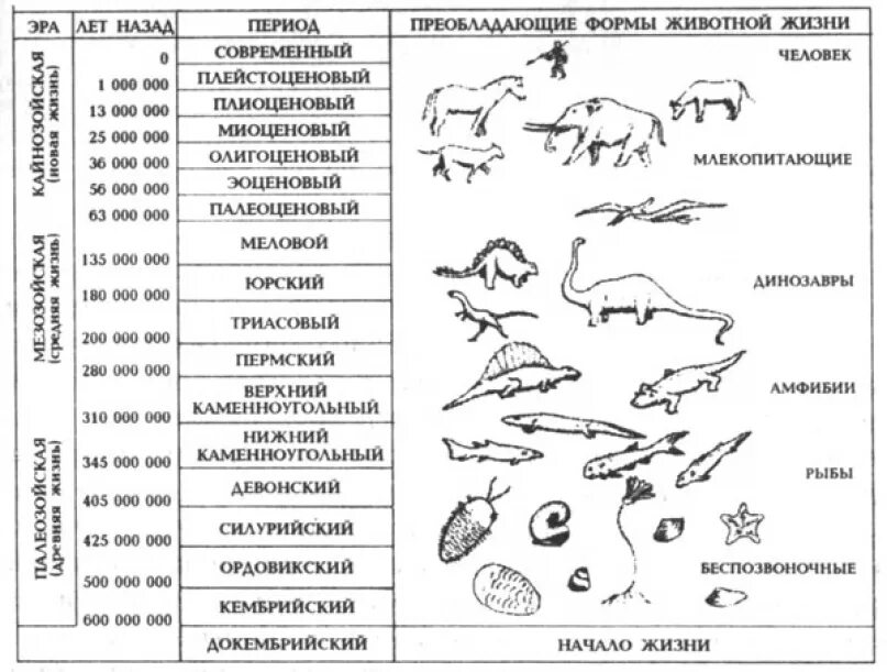 Последовательность появления организмов в эволюции. Эры развития земли в хронологическом порядке. Период жизни динозавров таблица. Шкала периодов развития земли. Периоды развития земли в хронологическом порядке.
