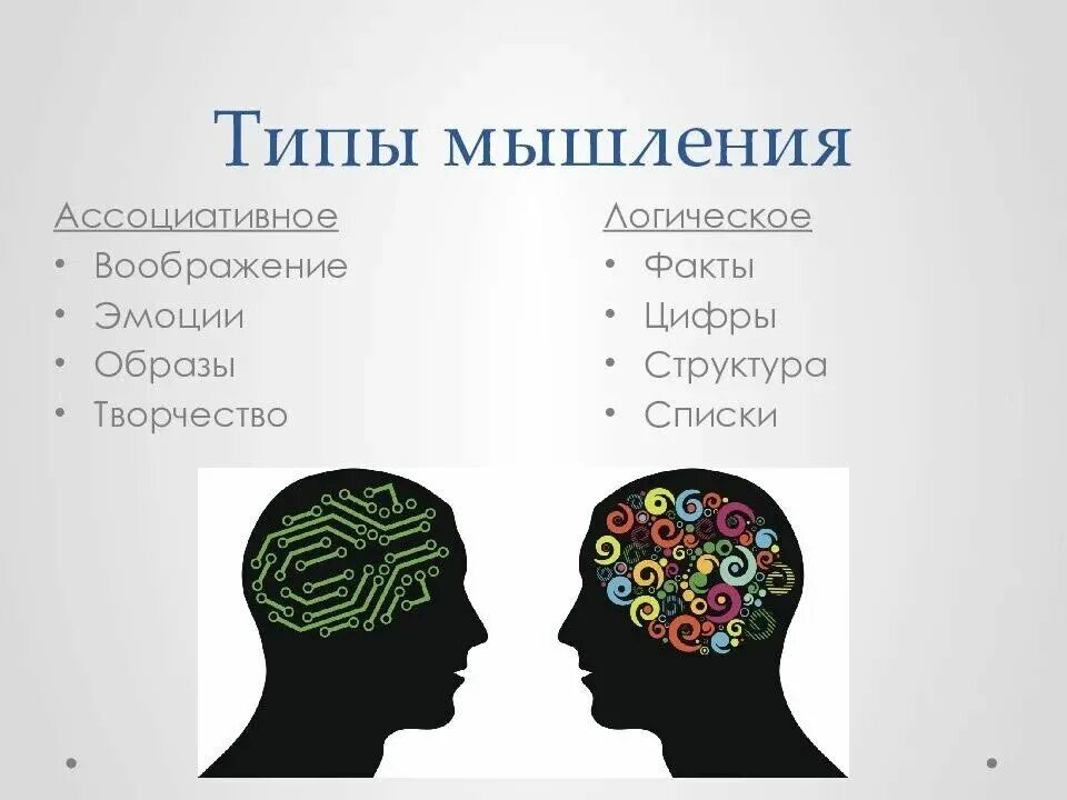 2 типа людей как называется