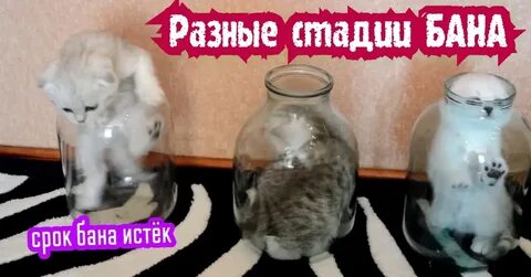 Банка забанить