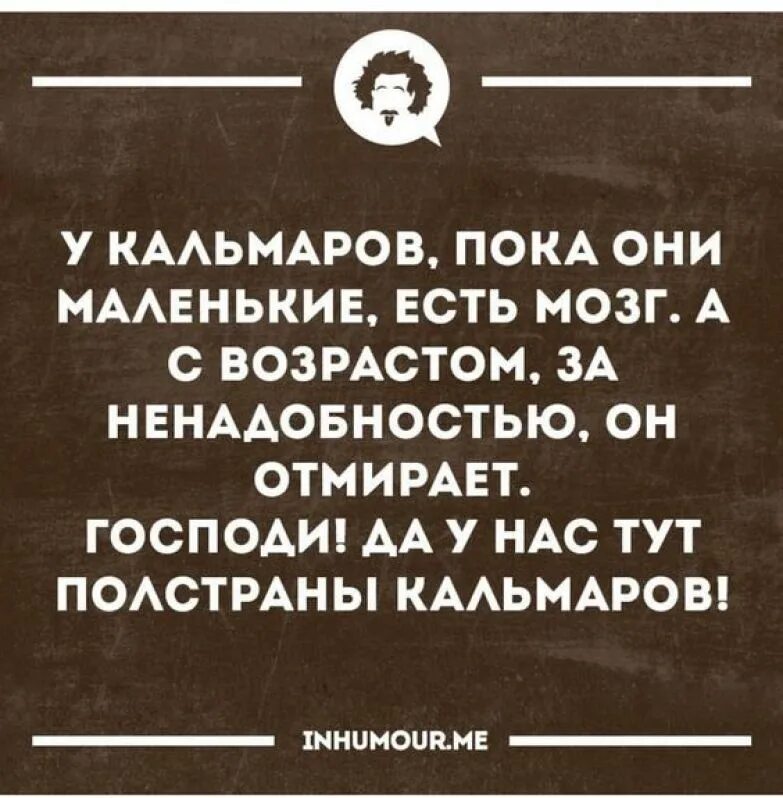 Анекдот про мозги. Анекдоты про мозг. Смешные шутки про мозг. Анекдоты про женский мозг.