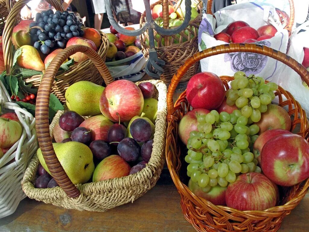 урожай осенних ягод. сад с фруктами. центральный рынок фрукты. осенний урожай. фрукты в августе.