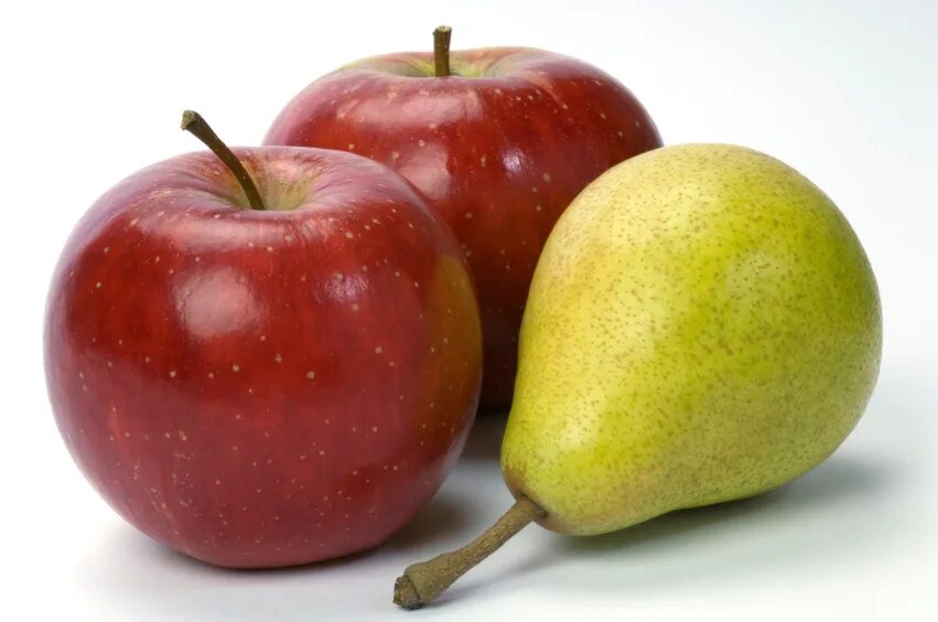 1 2 яблоко. Яблоки и груши. Фрукты яблоки груши. Грушевидное яблоко. Грушевое яблоко.