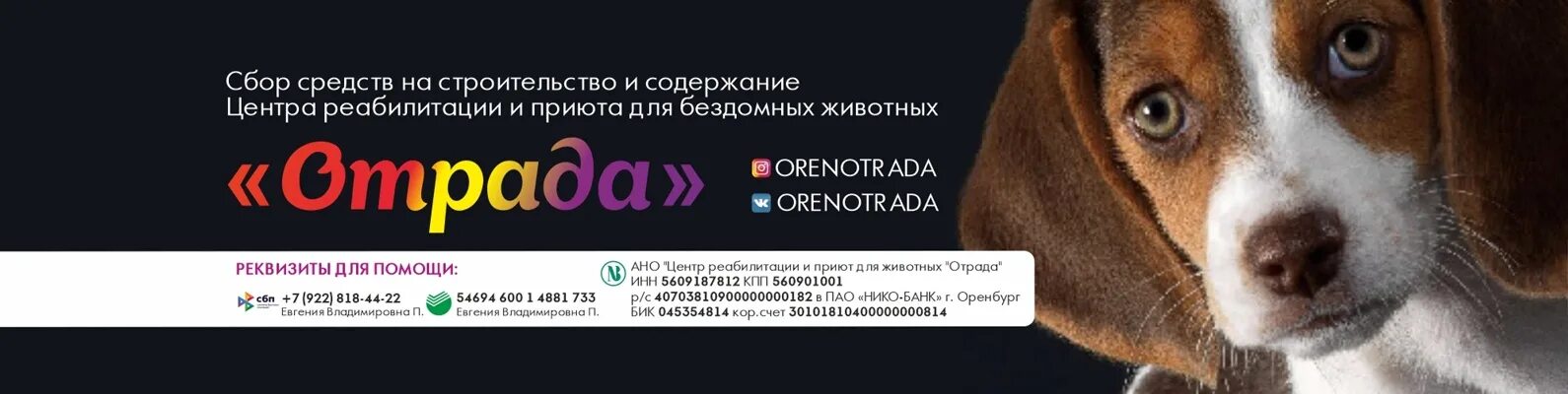 Помощь животным оренбург. Приют Отрада Оренбург. Приют для животных Оренбург. Приют для животных в Оренбурге я живой. Собачий приют в Оренбурге.