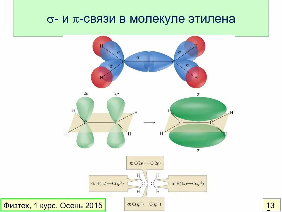 Сигма связи в молекуле этилена