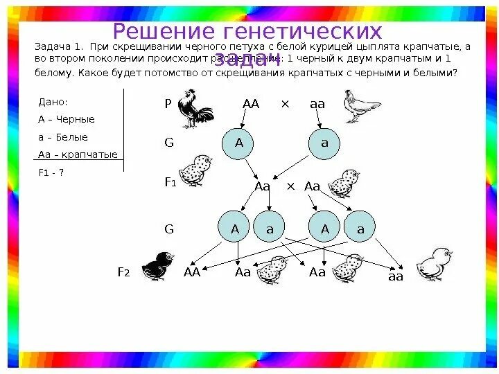 Генетические задачи. Генетические задачи рисунки. Задачи по генетике. Генетика задачи.