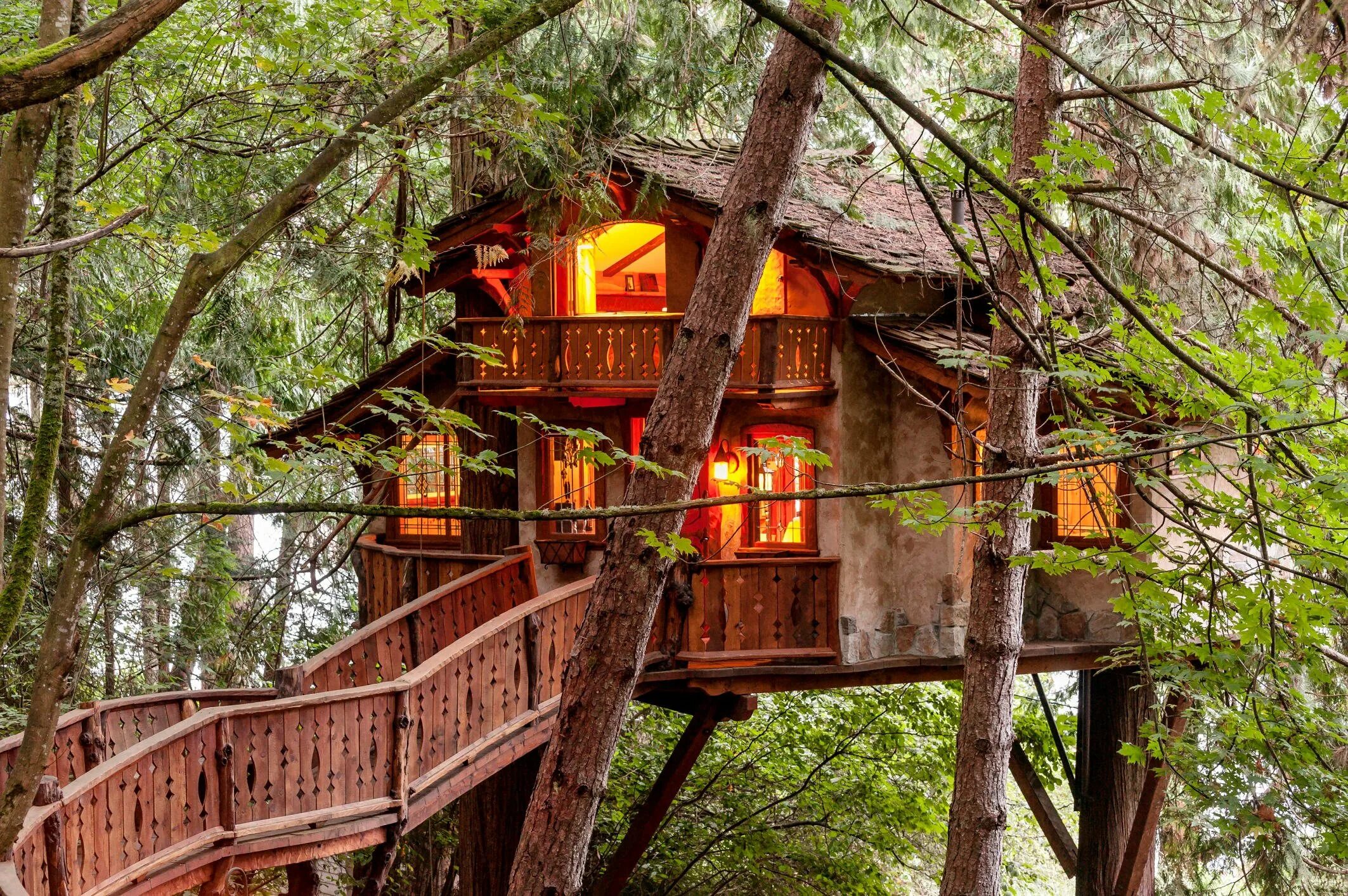 Дом на дереве (британская колумбия, канада). Жилой дом «tree house». Дом на дереве авито. Домик на дереве. Домик на дереве для детей.