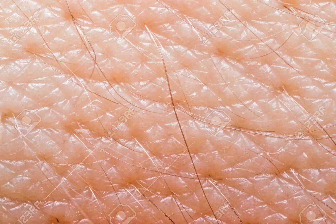 Клетка кожи человека. Коричневая кожа человека. Фактура человеческой кожи. Текстура человеческой кожи. Текстура кожи лица.