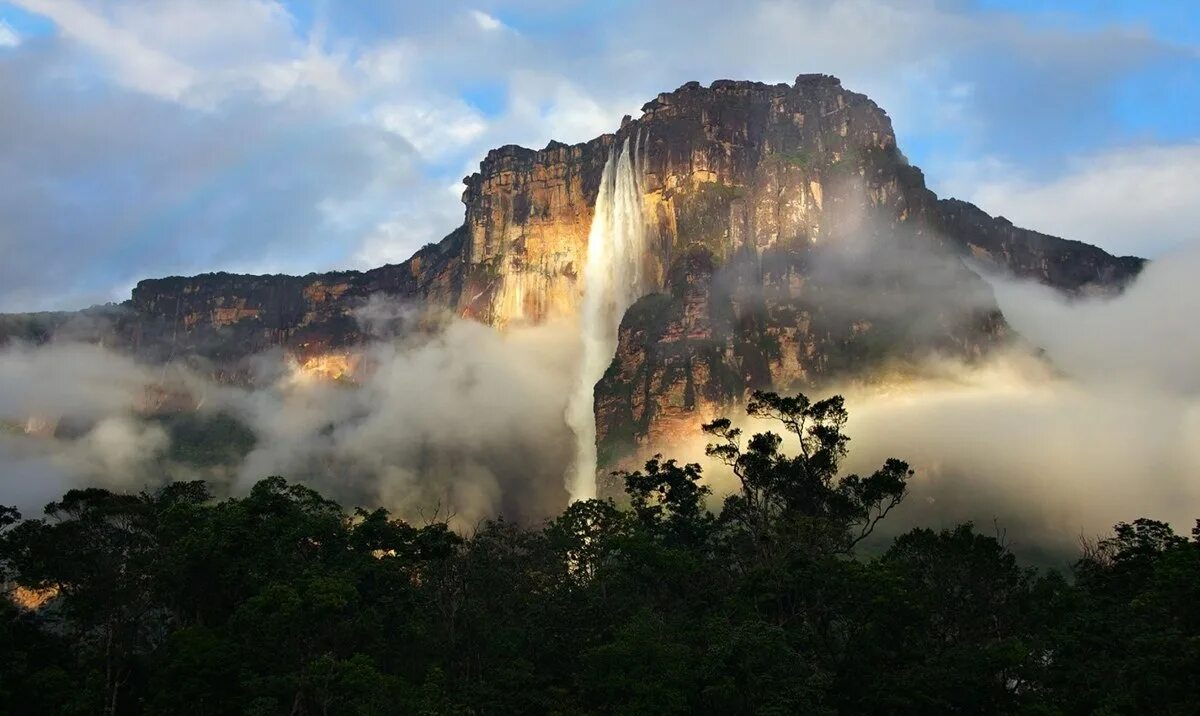 Самый высокий водопад гвианском плоскогорье. Водопад Анхель в Южной Америке. Южная Америка Гвианское плоскогорье. Гвианское плоскогорье Анхель. Венесуэльский водопад Анхель.