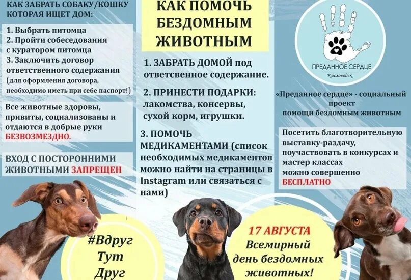 Картинки КАК РЕШИТЬ ПРОБЛЕМУ БЕЗДОМНЫХ