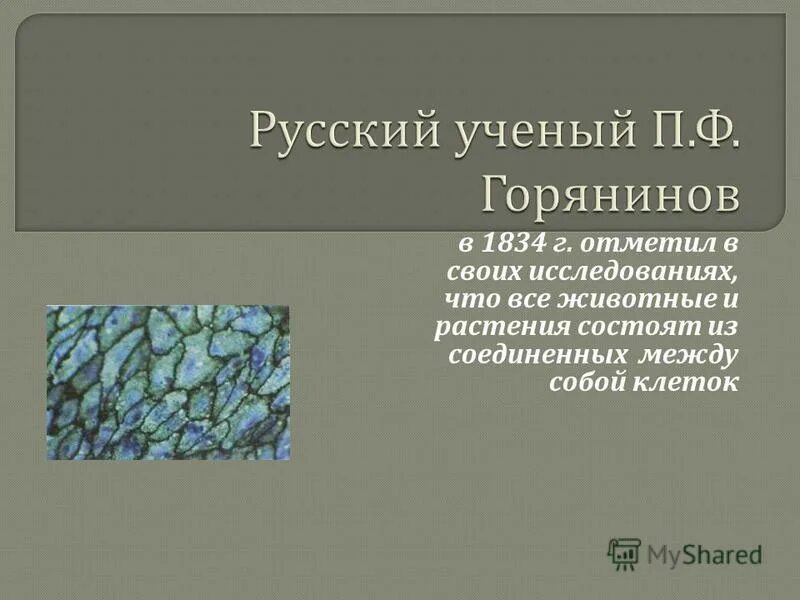 глиоксисомы функции. ядрышко локализуется. сферосомы функции. наукатизучающач строение и функции коеток. электронная микроскопия.